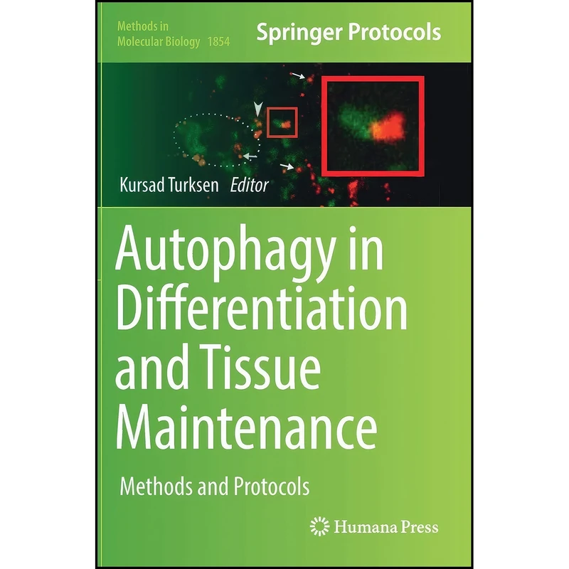 کتاب Autophagy in Differentiation and Tissue Maintenance اثر Kursad Turksen انتشارات Humana
