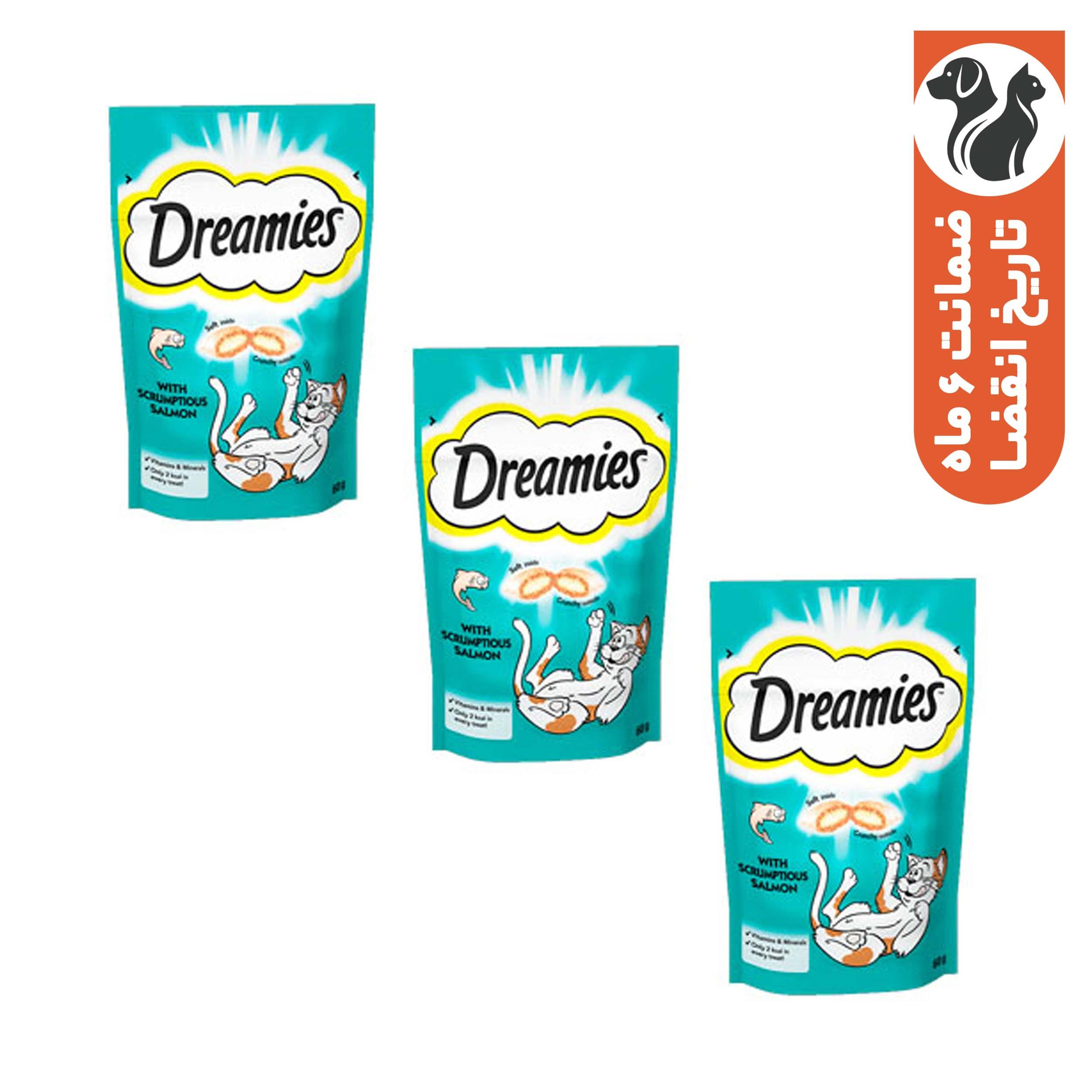 غذای تشویقی گربه دریمیز مدل Snack With Salmon وزن 60 گرم بسته 3 عددی