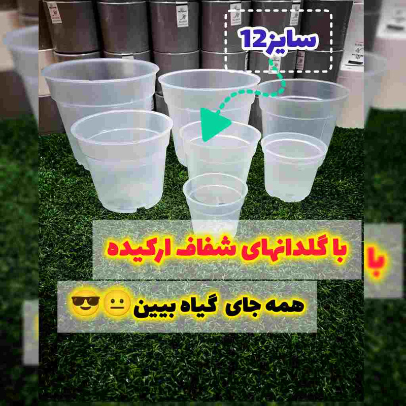 گلدان مدل شفاف ارکیده کد 12 بسته 6 عددی