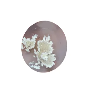 سنگ عقیق شجر کد 11