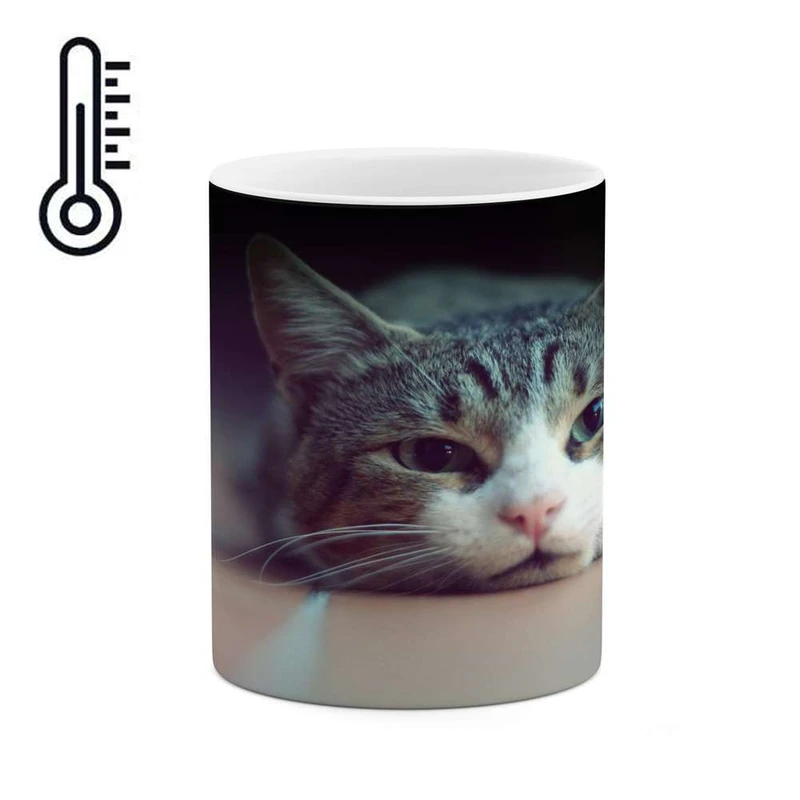 ماگ حرارتی کاکتی مدل گ کد mgh14067