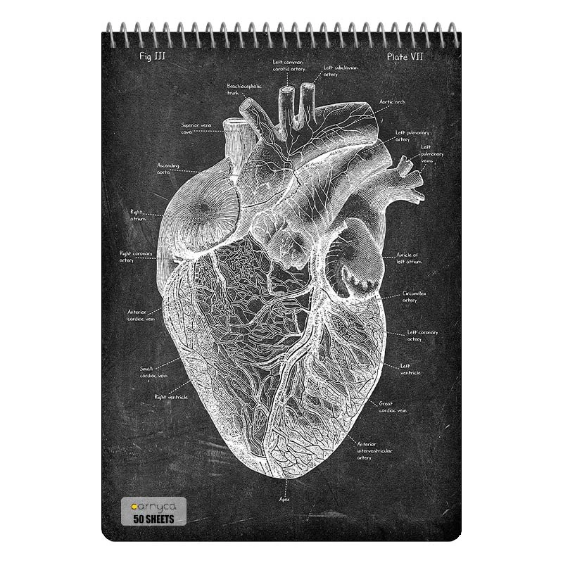 دفتر نقاشی 50 برگ سیمی کارنیکا طرح روزنامه وینتج آناتومی بدن Vintage Newspaper Anatomy کد 43232