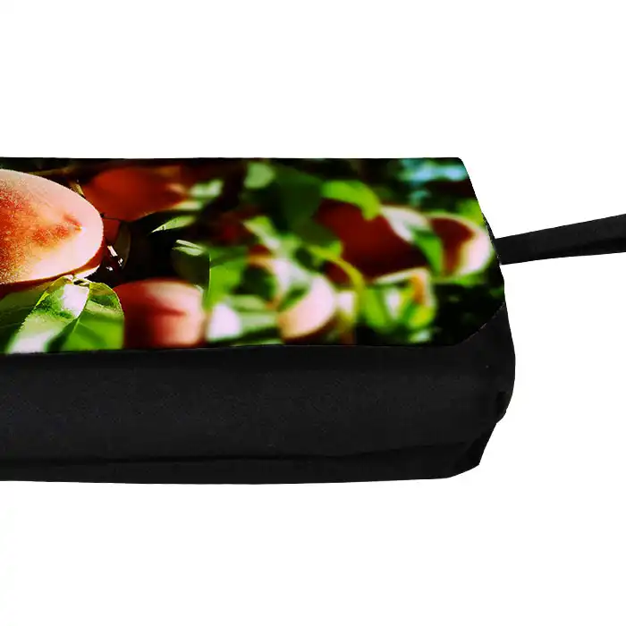 جامدادی مدل دوزیپ طرح درخت هلو کد NI1288