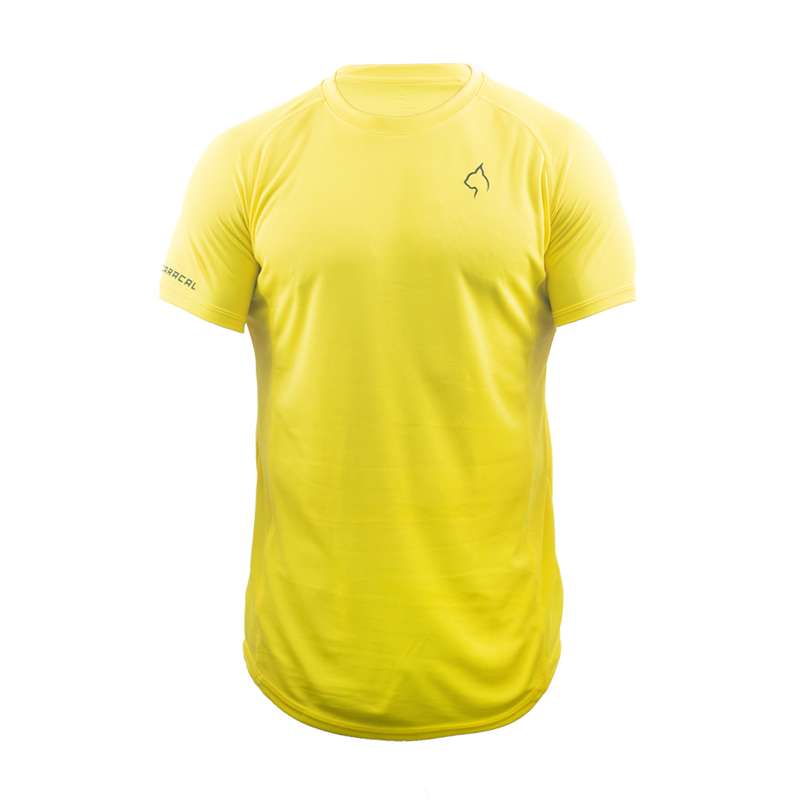 تی شرت ورزشی مردانه مدل بیسیک رنگ زرد