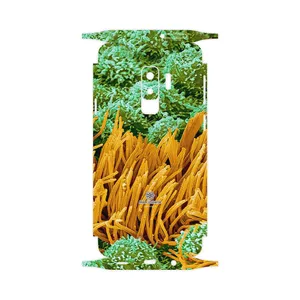 MAHOOT Atom Universe 6-FullSkin Cover Sticker for Samsung Galaxy S9 Plus