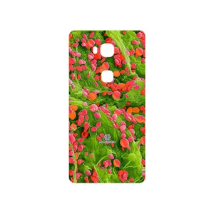MAHOOT Atom Universe 3 Cover Sticker for Huawei GR5