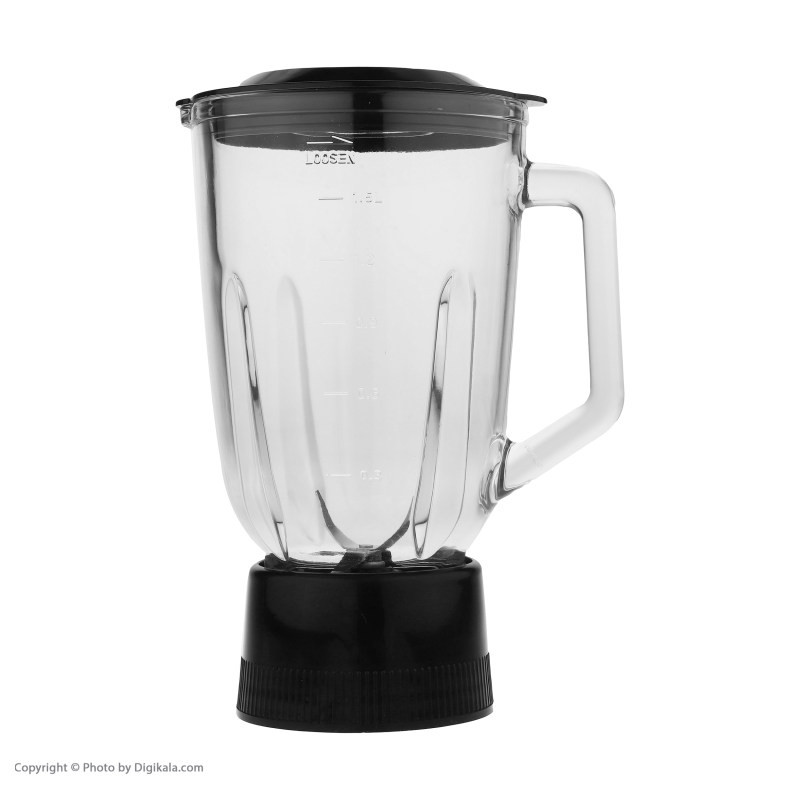 آبمیوه گیری درنیکا مدل  300  DS