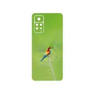 MAHOOT European bee-eater Cover Sticker for Xiaomi Redmi Note 11 Pro Plus 5G  India
