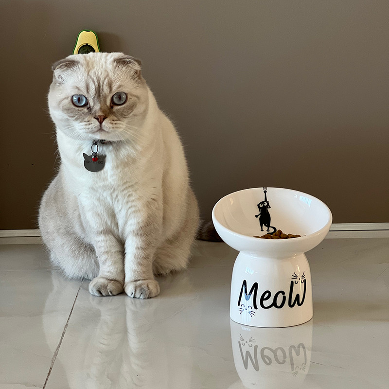 ظرف غذای گربه کد C14