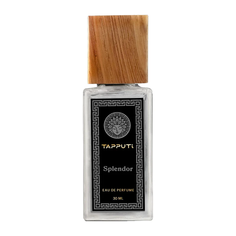 عطر جیبی مردانه تاپوتی مدل SPLENDOR با رایحه خنک حجم 30 میلی‌لیتر