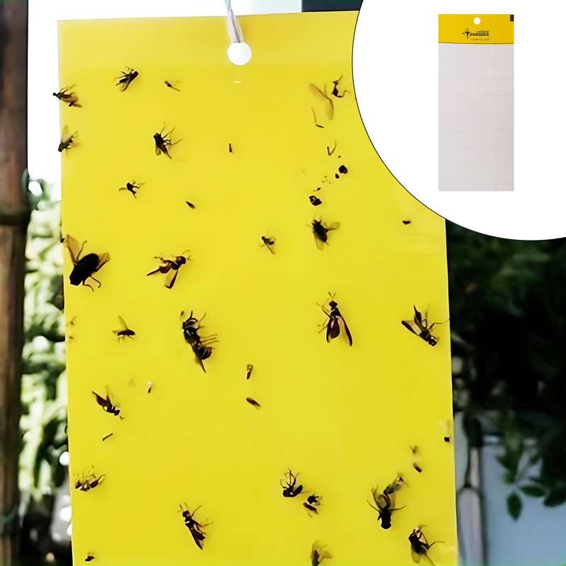 چسب حشره کش ترمینکس مدل yc10 بسته 10 عددی