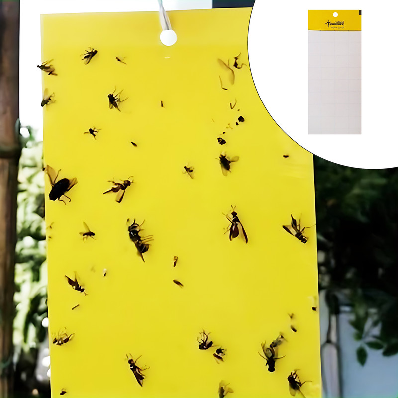 چسب حشره کش ترمینکس مدل yc10 بسته 10 عددی