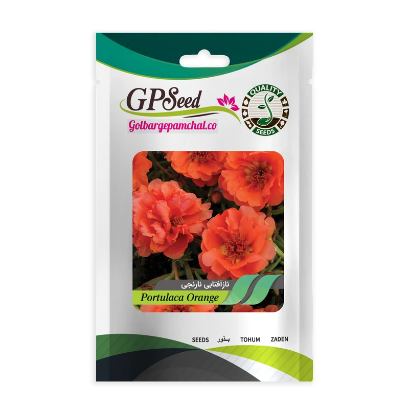 بذر گل ناز آفتابی نارنجی گلبرگ پامچال کد GPF-090