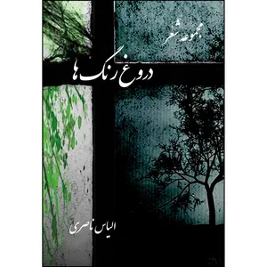 کتاب دروغ رنگ‌ها اثر الیاس ناصری انتشارات ارسطو