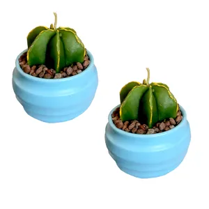 شمع مدل کاکتوس کد 152 بسته 2 عددی