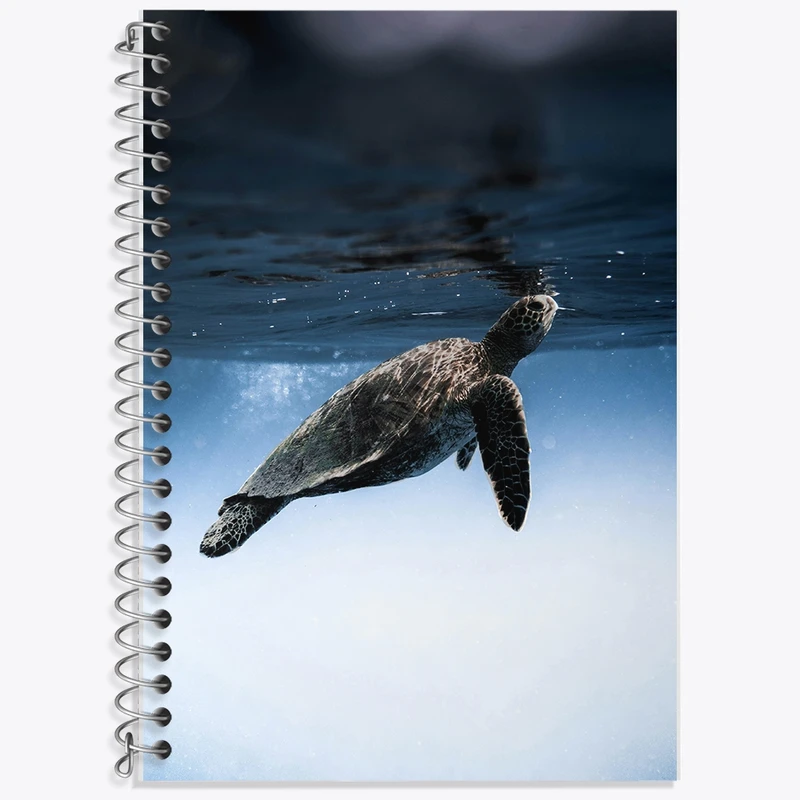 دفتر زبان 50 برگ خندالو مدل دو خط طرح لاکپشت کد F1296