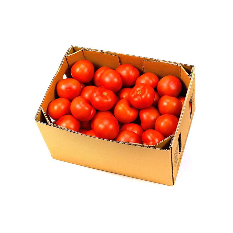 گوجه فرنگی بوته ای درهم - 15 کیلوگرم