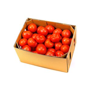 نقد و بررسی گوجه فرنگی بوته ای درهم - 15 کیلوگرم توسط خریداران
