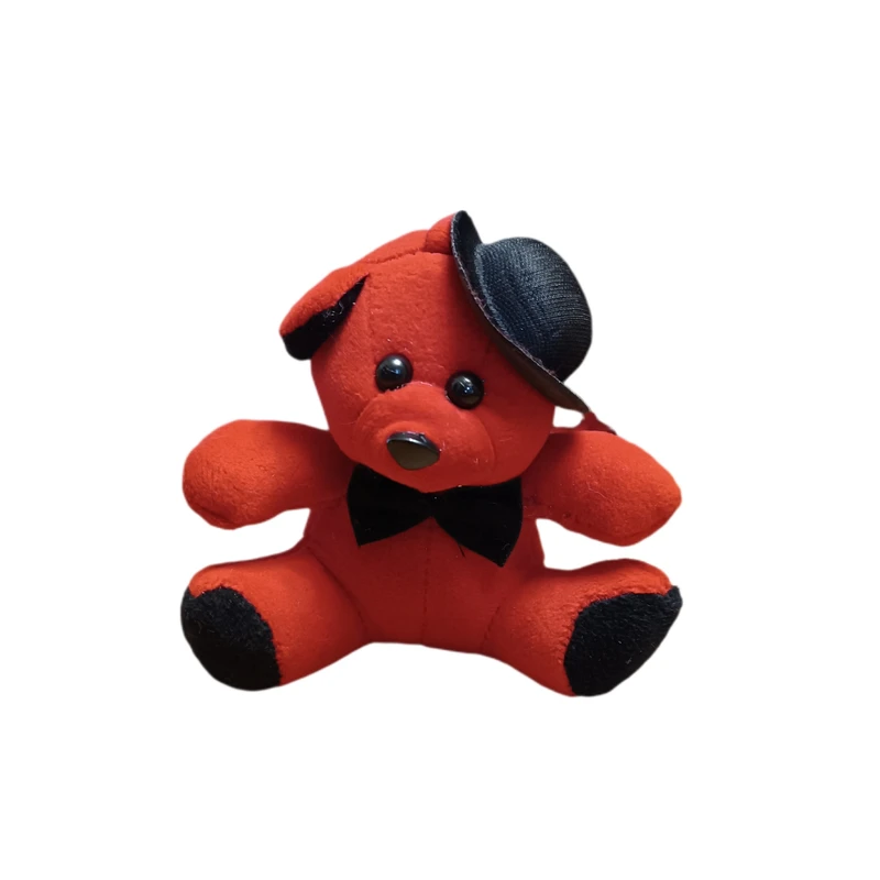 عروسک پولیشی مدل خرس تدی کلاه دار ارتفاع 13 سانتی متر 