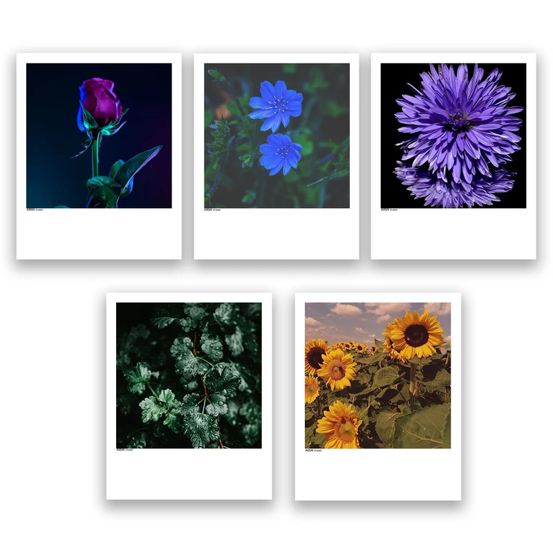 آویز تزیینی عرش مدل فانتزی گل کد Asa171 مجموعه پنچ عددی