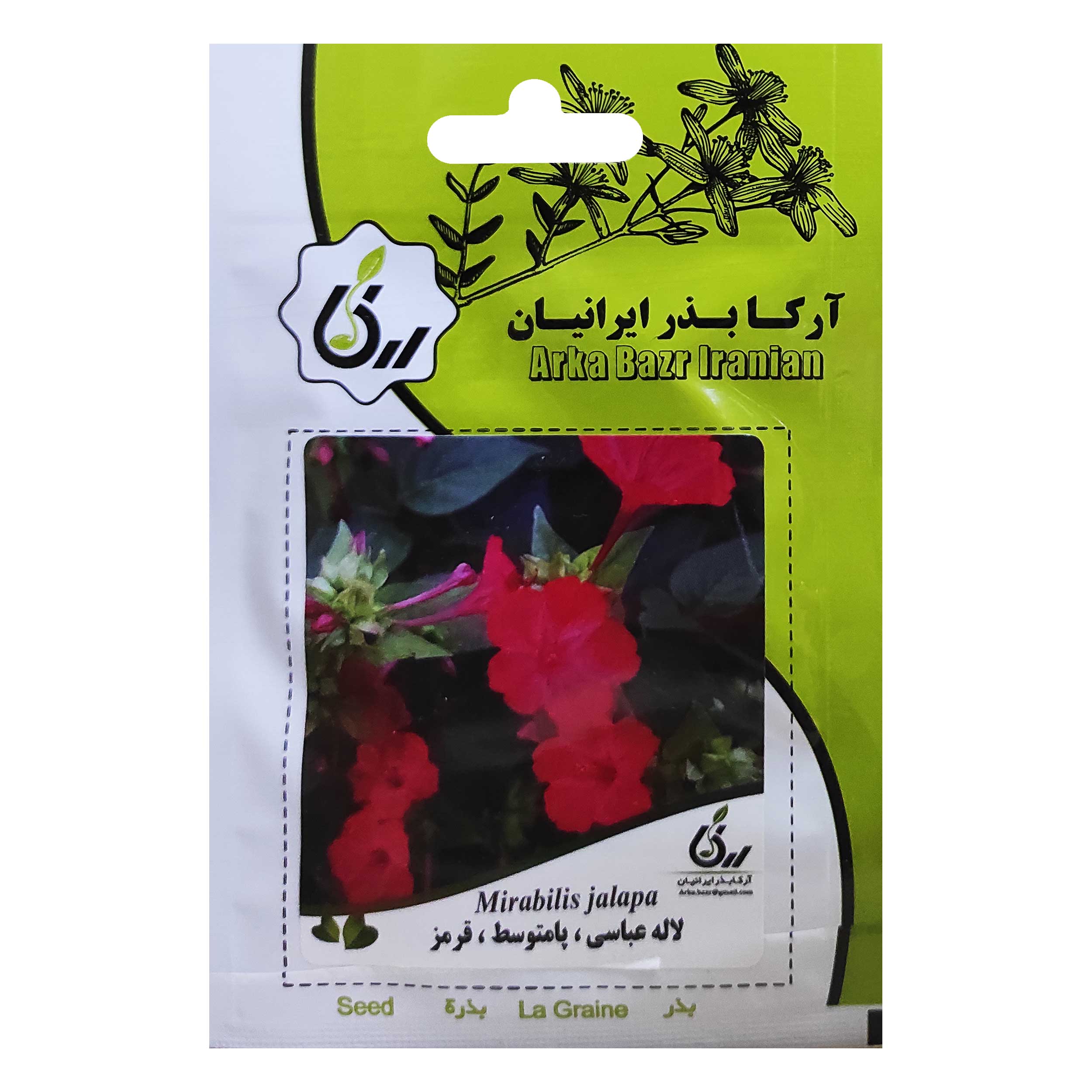بذر گل لاله عباسی پامتوسط قرمز آرکا بذر ایرانیان کد ARK-009 