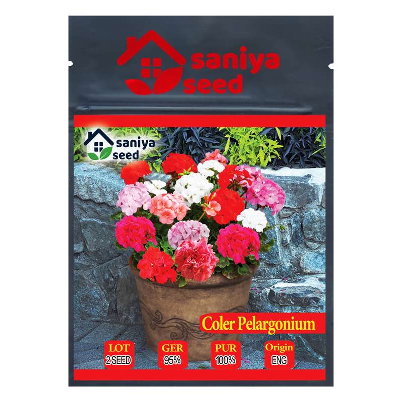 بذر گل شمعدانی الوان سانیا سید مدل SH3