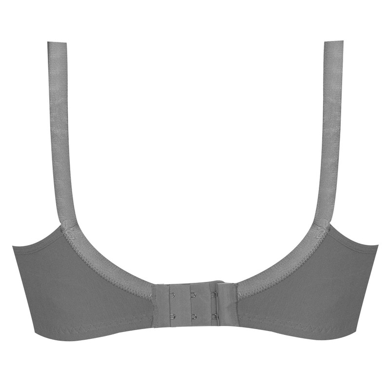 سوتین زنانه پانیذ مدل بدون فنر کد 3171-5 رنگ طوسی