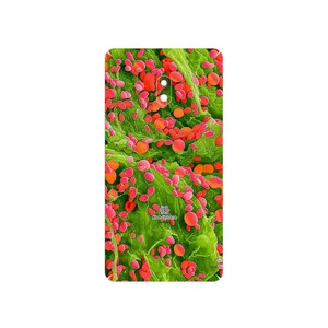 MAHOOT Atom Universe 3 Cover Sticker for Nokia 2.1