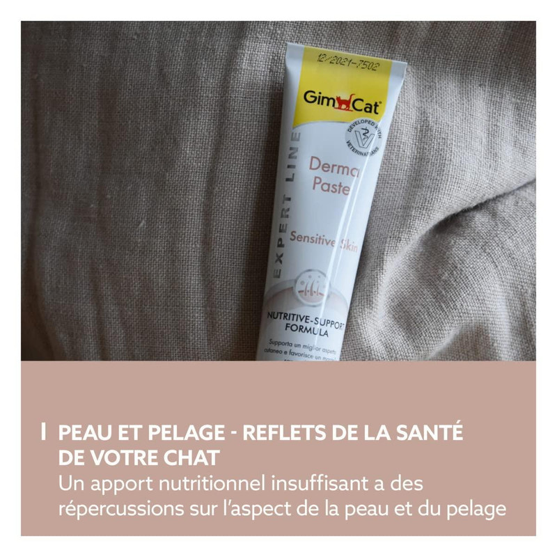 خمیر تشویقی پوست و مو گربه جیم کت مدل Derma Paste وزن 50 گرم