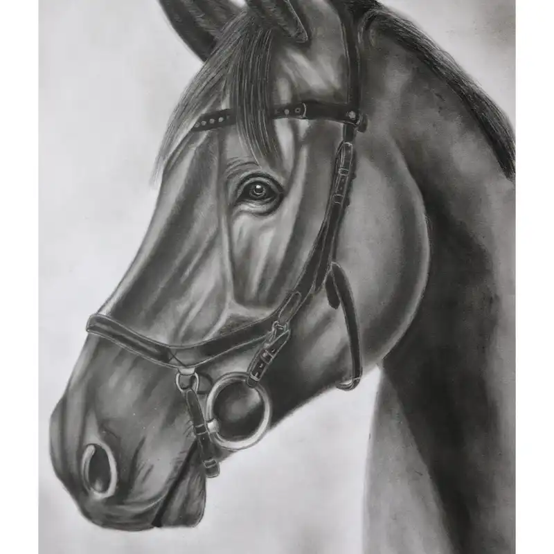 نقاشی سیاه قلم طرح اسب مدل 56896