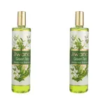 شامپو مو ژیوانا مدل Green Tea حجم 500 میلی لیتر بسته 2 عددی