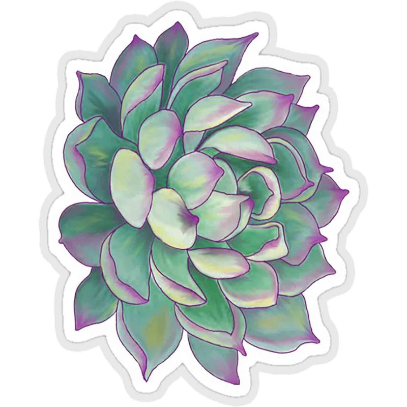 استیکر لپ تاپ طرح succulent plant کد ST1757