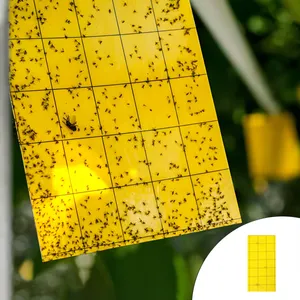 چسب حشره کش مدل Tp-14 بسته 14 عددی