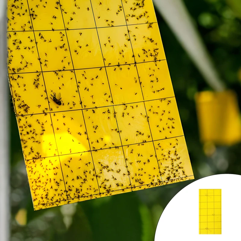 چسب حشره کش مدل Tp-14 بسته 14 عددی