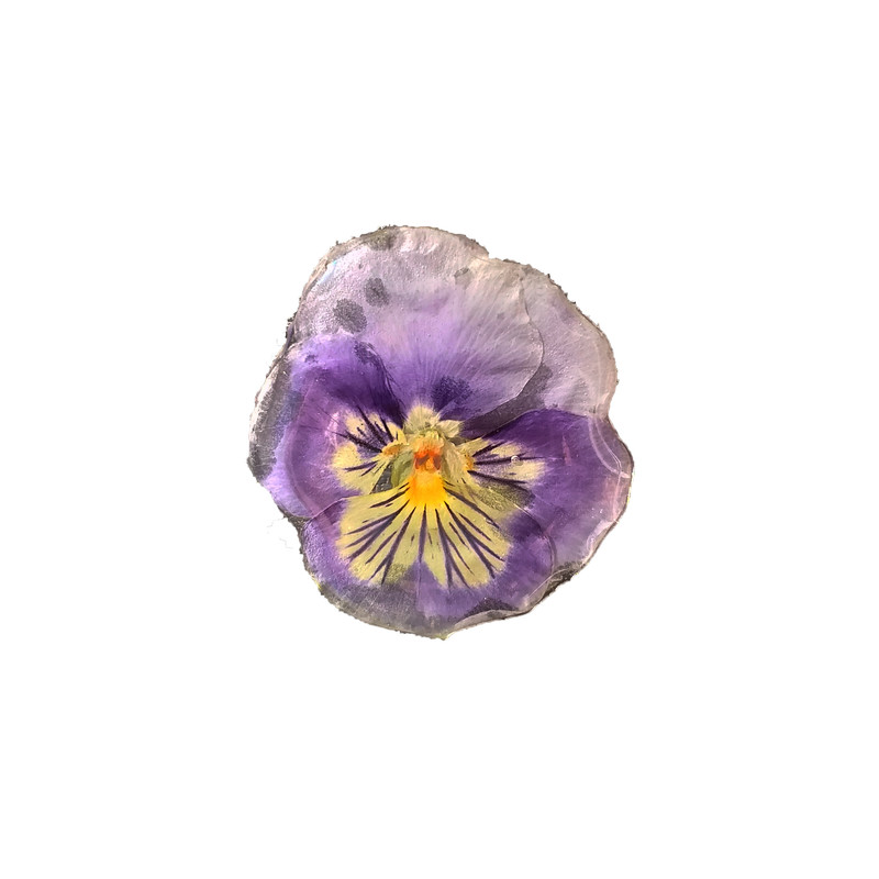 گل سینه زنانه دژاوو طرح گل بنفشه