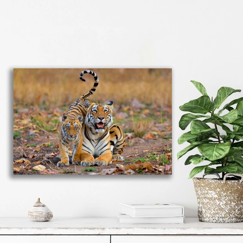 تابلو شاسی آتریسا مدل حیواناتanimal