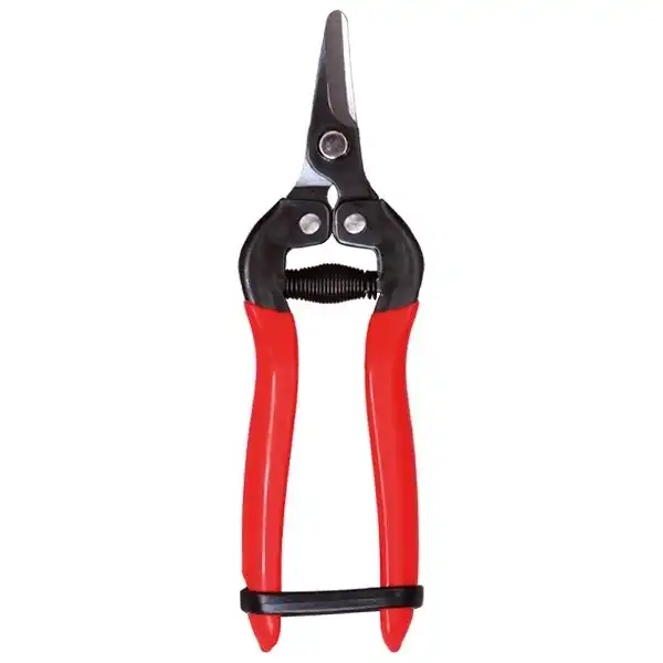 قیچی میوه چینی مدل sumio-3164c