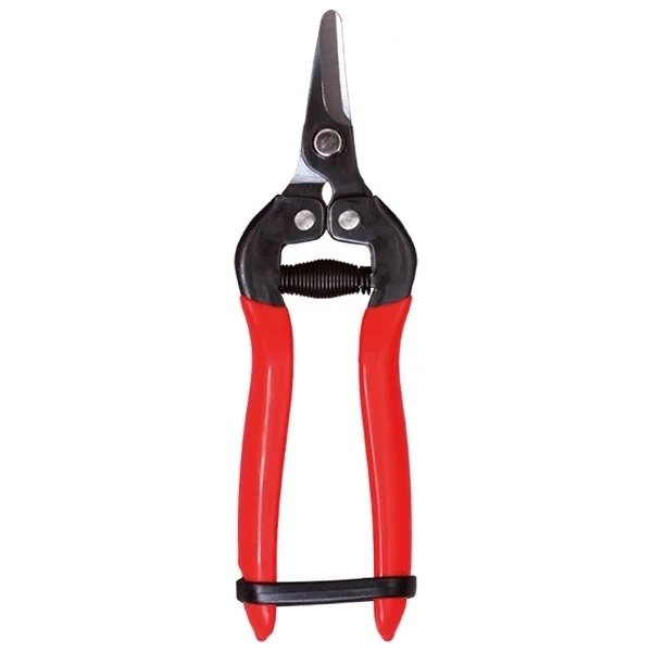 قیچی میوه چینی مدل sumio-3164c