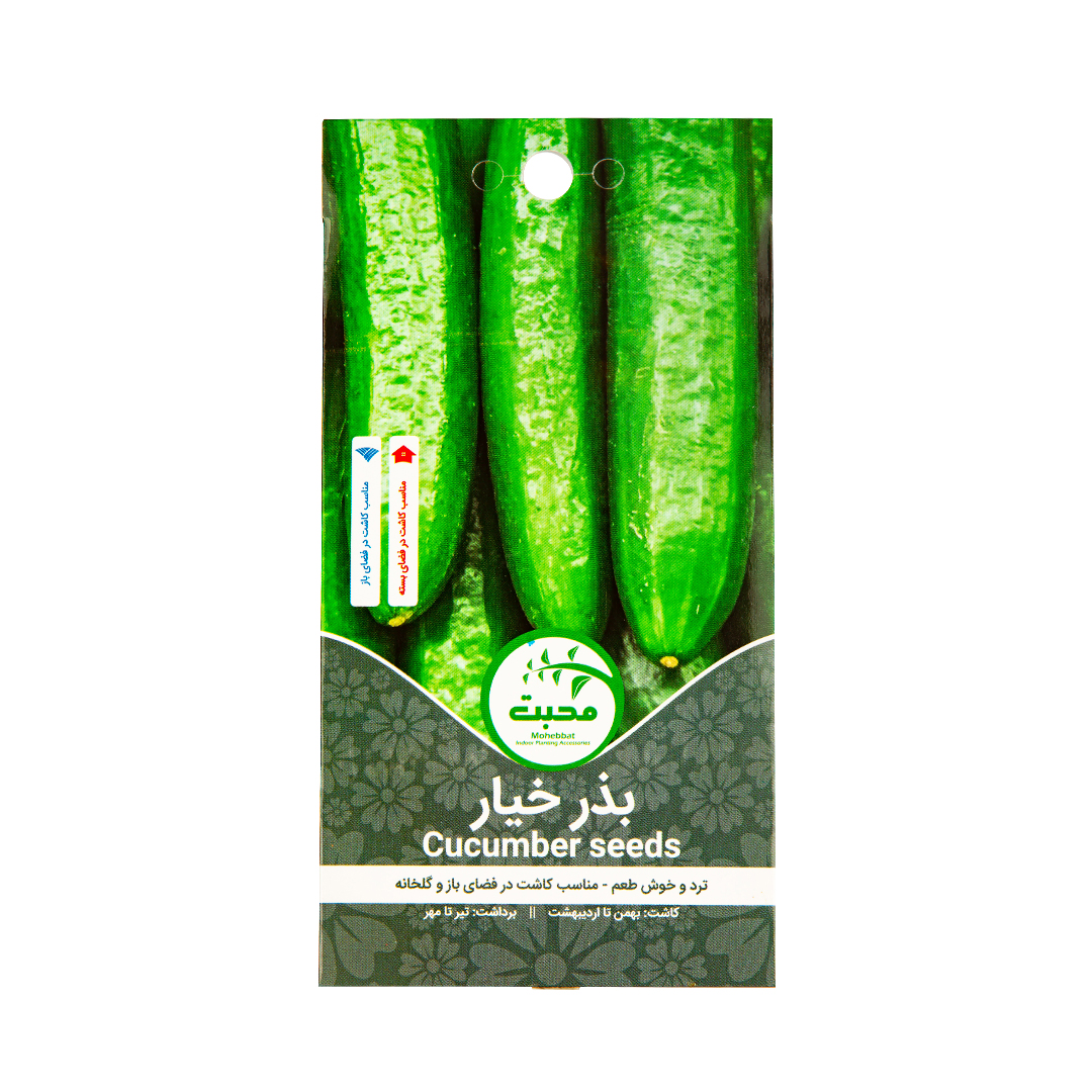 بذر خیار محبت مدل cucumber 