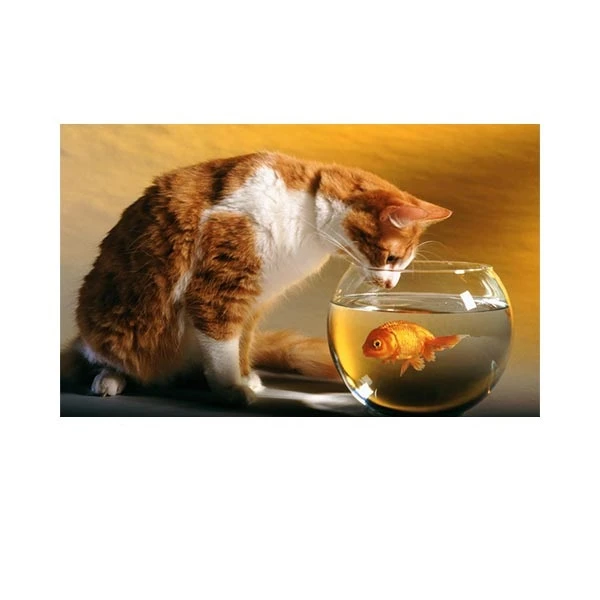   پادری مدل حیوانات کد HSHMA0025 سایز 76x46 سانتی متر