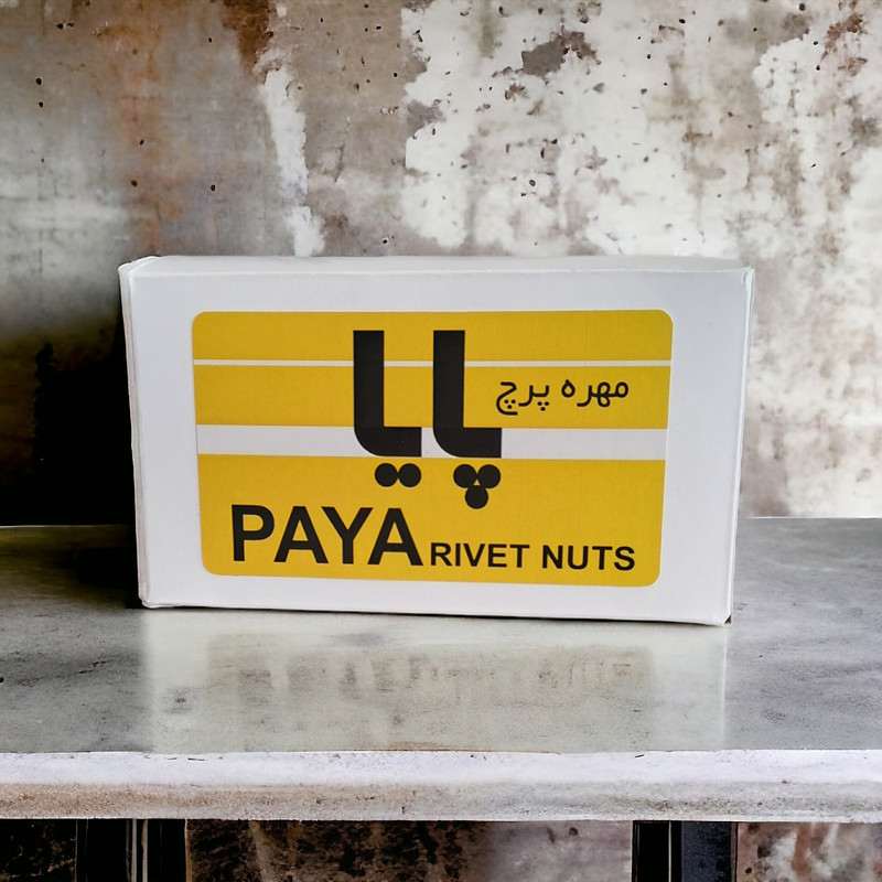 مهره پرچ پایا مدل لبه دار M4 کد PAYA69 مجموعه 100 عددی