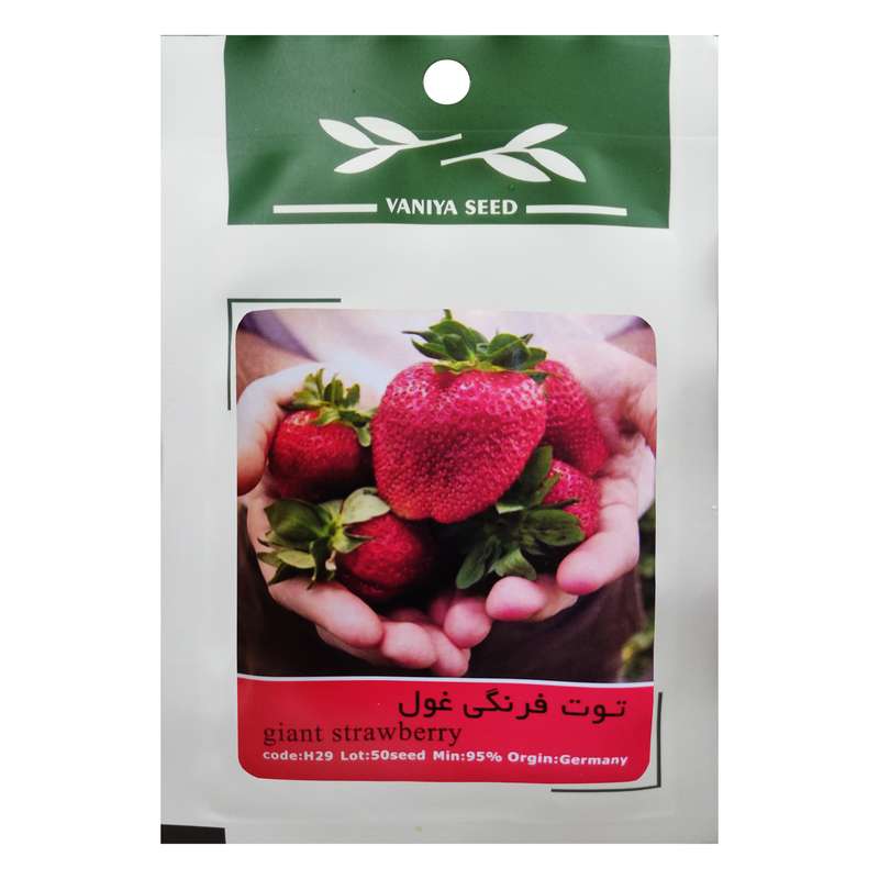 بذر توت فرنگی وانیا سید مدل H29