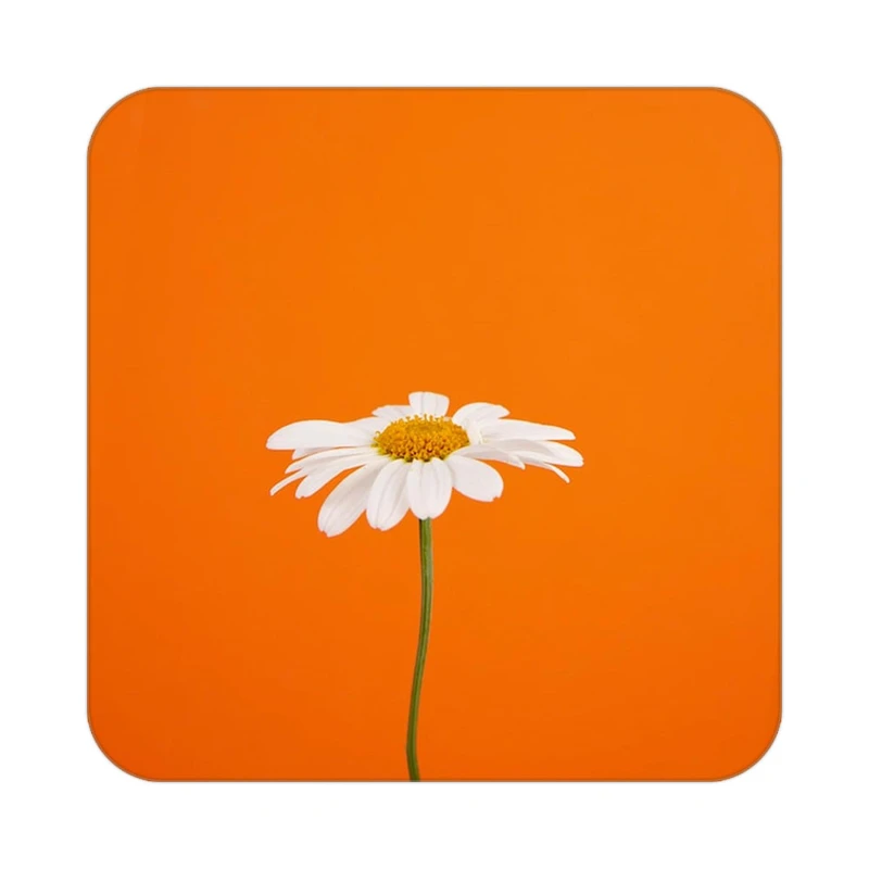 زیر لیوانی کاکتی طرح گل مدل mp18856