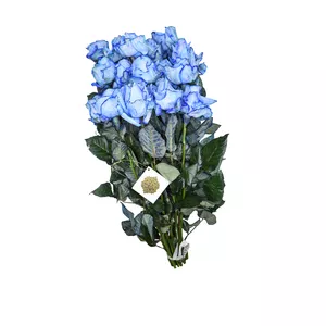 دسته گل رز هلندی آبی هیمان کد Ro05