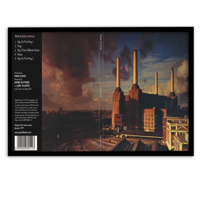 تابلو بکلیت طرح گروه پینک فلوید Pink Floyd مدل B-s229