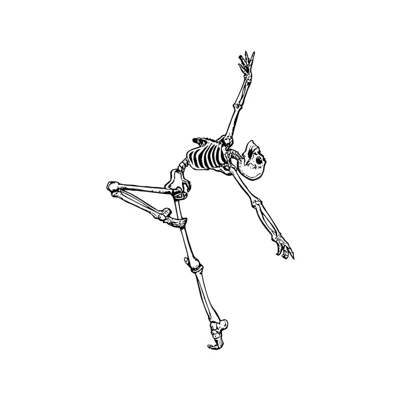 برچسب بدنه خودرو طرح اسکلت کد 1699