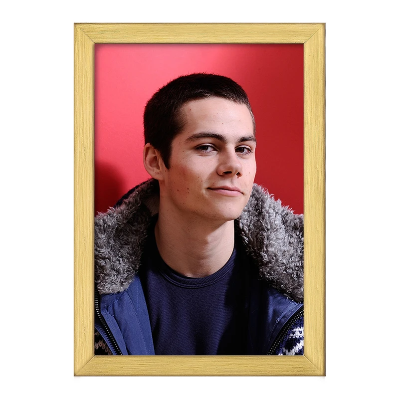 تابلو خندالو طرح استایلز استلینسکی سریال تین ولف Teen Wolf کد 28444