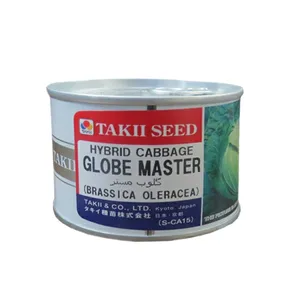 بذر کلم پیچ تاکی مدل گلوب مستر