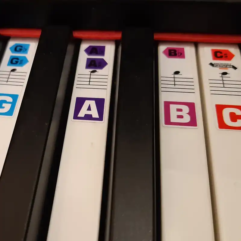 استیکر نت پیانو و کیبورد مدل PSM