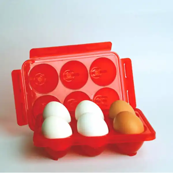 جا تخم مرغی اسنوند مدل شش